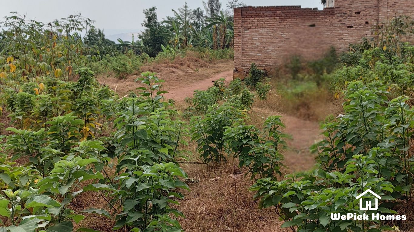 Residential Plot For Sale in Kanombe, Kigali | WePick Homes Real Estate.