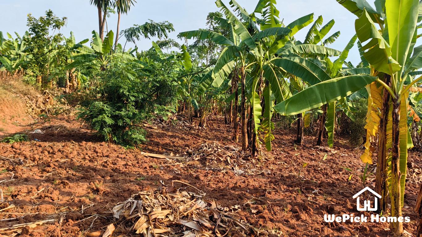 Residential Plot for Sale in Bumbogo, Gasabo.