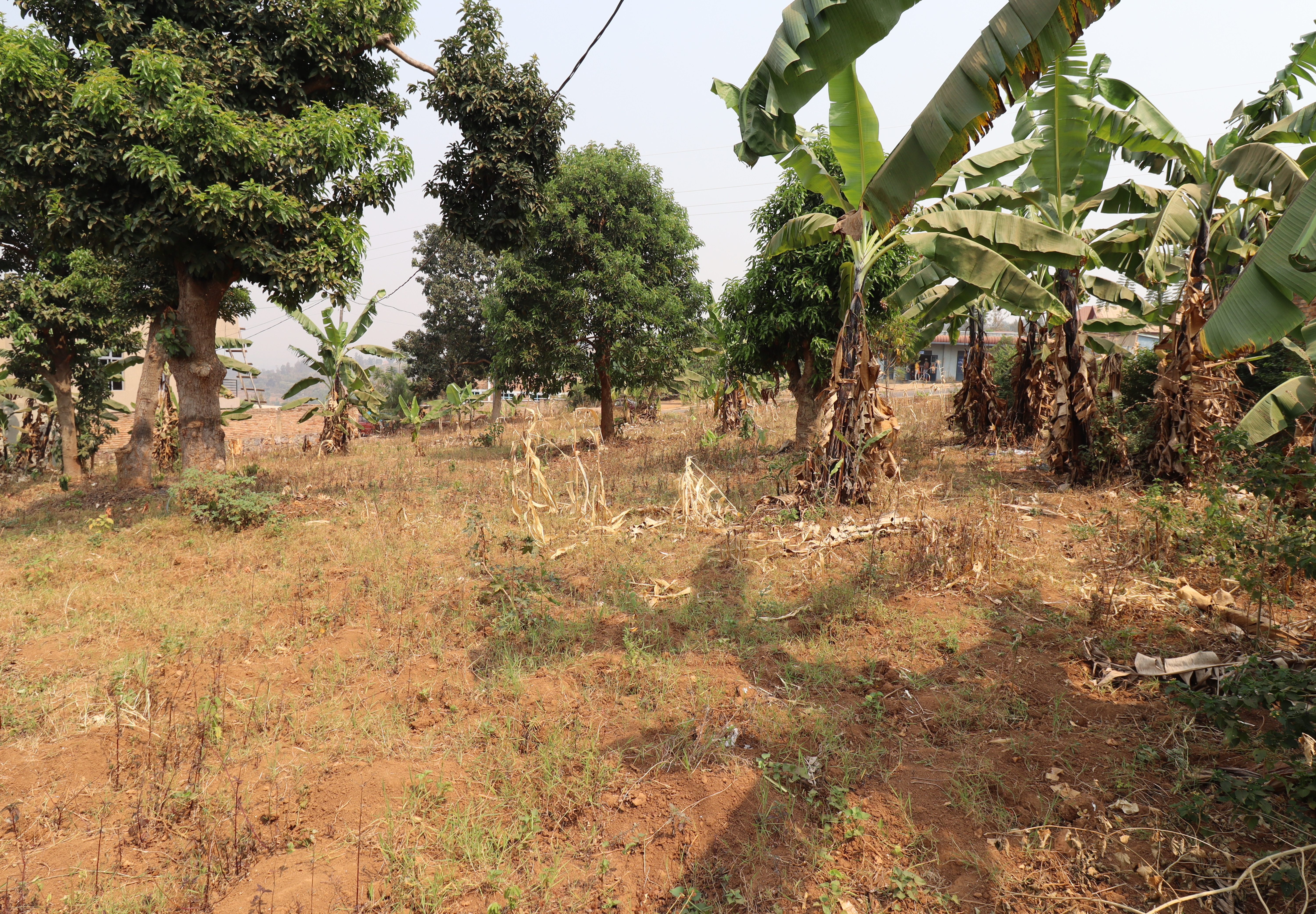 For Sale: A 2165 Sqm Residential Plot in Kabuga.